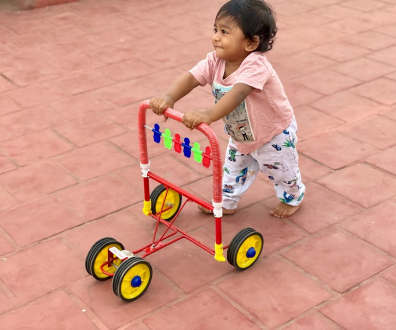 My Wooden Blocks - A Baby walking with a Walker