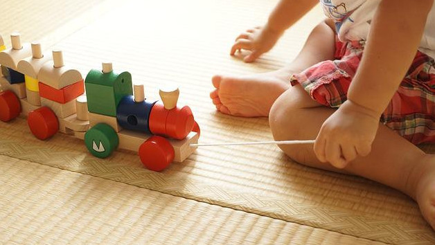 My Wooden Blocks - Pull Toys